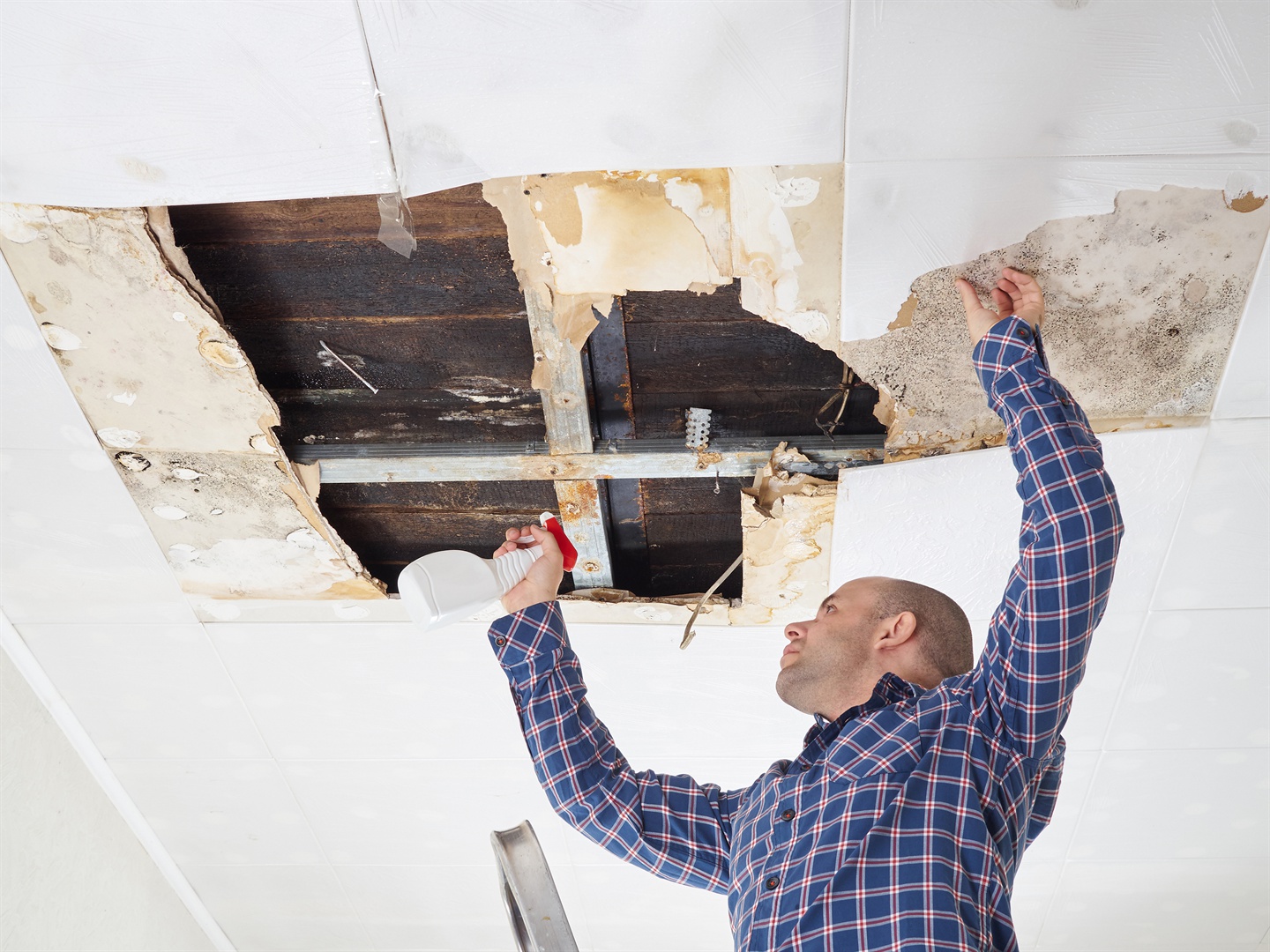 Mold Removal Service - Get It Done Restoration