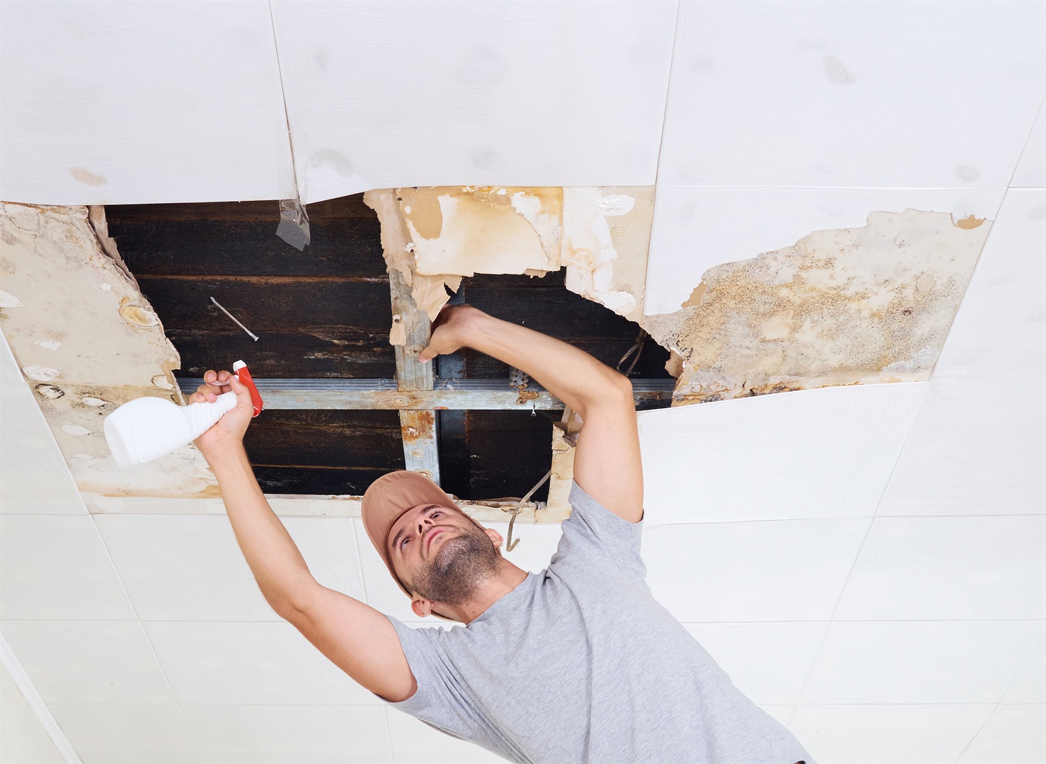 Mold Removal Service - Get It Done Restoration