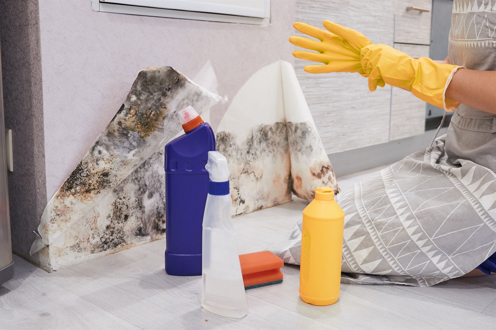 Mold Removal Service - Get It Done Restoration