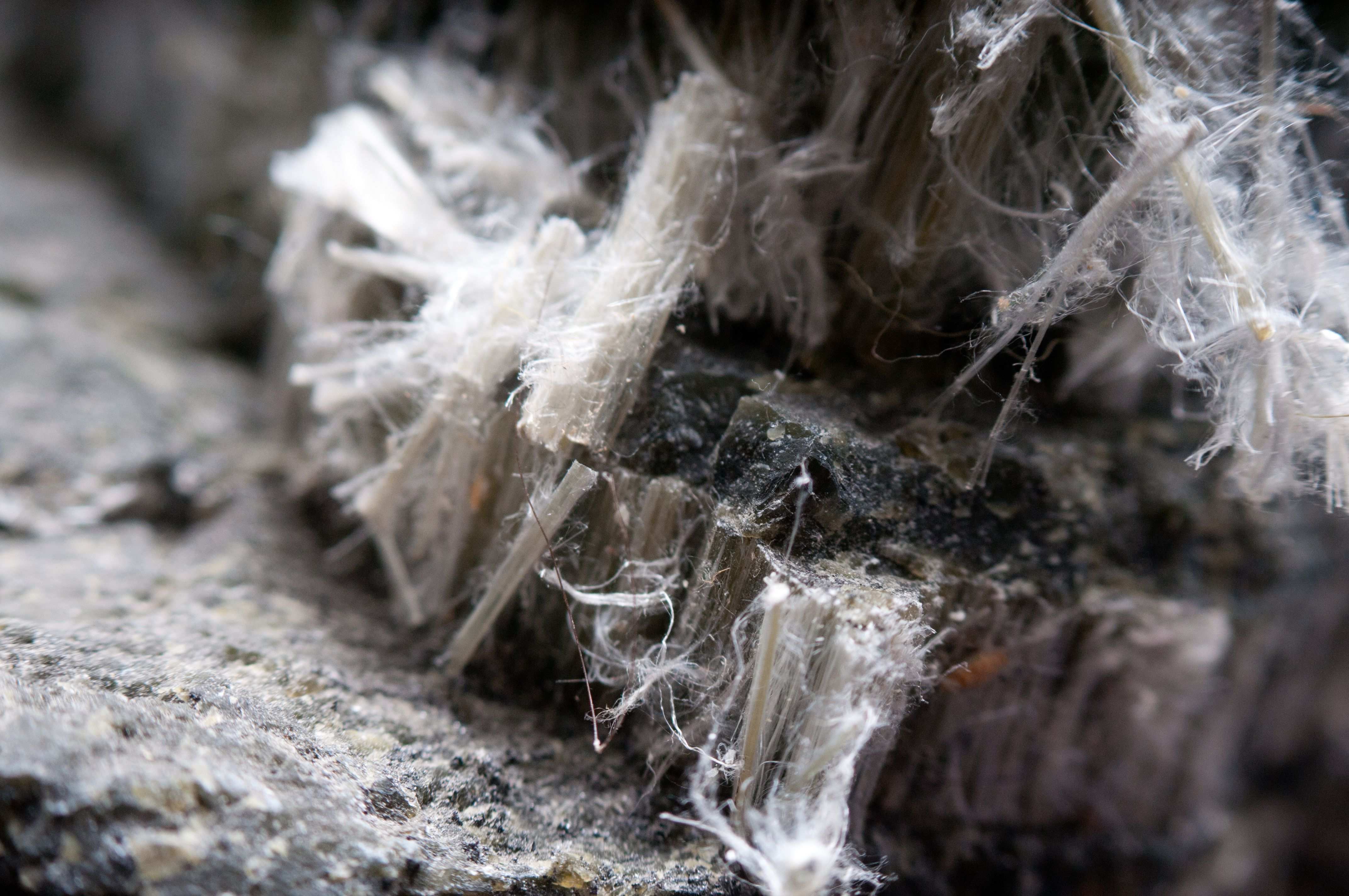 Asbestos Inspection: Why It Is Essential for Older Homes