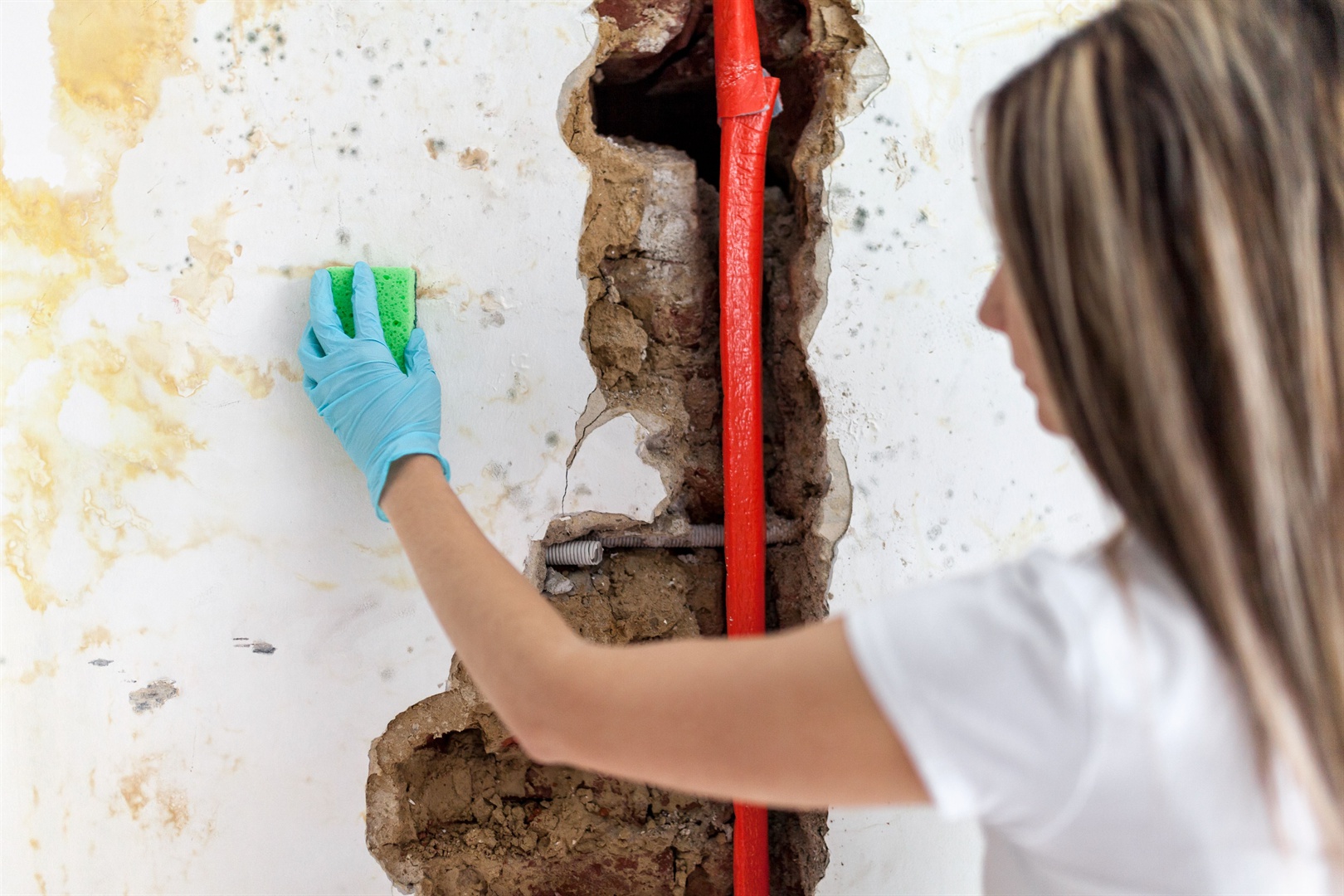 cleaning-up-dangerous-fungus-from-a-wet-wall