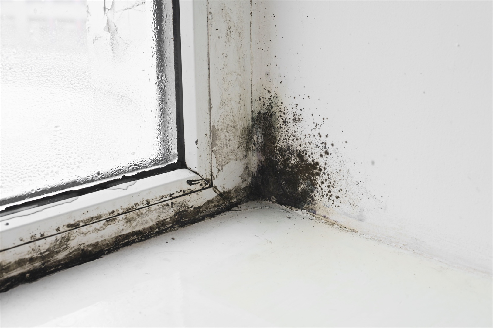 mold-on-the-window-in-the-house